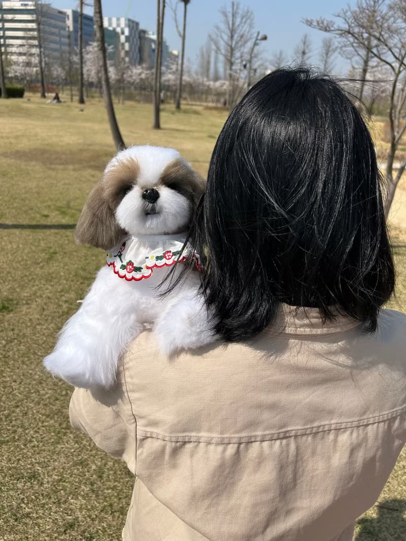 獅子狗 逼真的毛絨玩具 擴香石 貓 擴香 送禮 貓 送禮