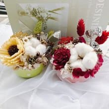 X'MAS繽紛耶誕 乾燥花盆栽  不凋花 盆栽 婚禮小物 乾燥花 聖誕節