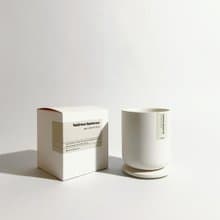 陶杯木芯蠟燭 No.23 Valdivian Rainforest 瓦爾迪維亞雨林