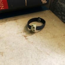 戒指 日本白瓷 自然釉色 無限看不膩色調 真皮革