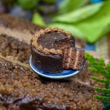 TUTORIAL Miniature chocolate cake Prague with polymer clay | PDF + video