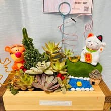 獨家訂製木箱組盆 開幕誌慶 新居落成 升官喬遷 婚禮 生日禮物