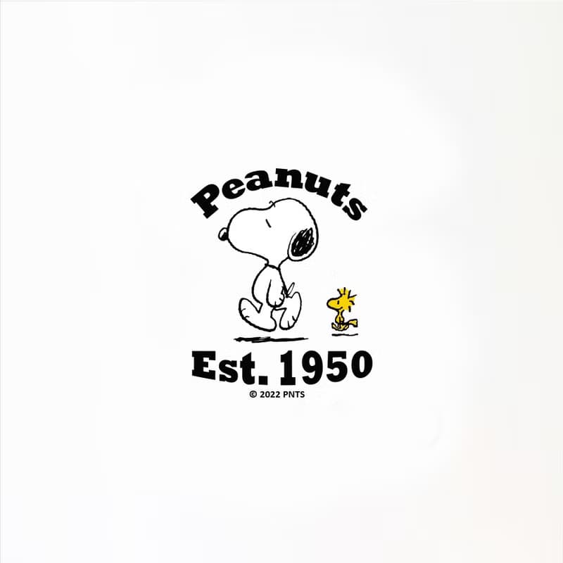 PEANUTS x Homeplus 不銹鋼無線1.7公升SNOOPY電熱水壺-KE938B-WH