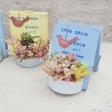 【荳荳多肉】【日式立式花牌組合】喬遷│送禮│升遷│多肉植物