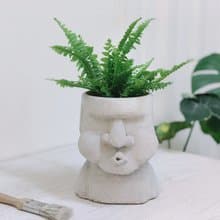 【10倍巨.免運】復活島摩艾石像-巨嘟嘟嘴盆栽/多肉/蕨類室內盆栽