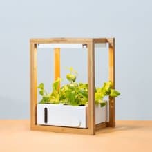Verda Garden Grow Stack層疊水耕蔬菜智能種菜機