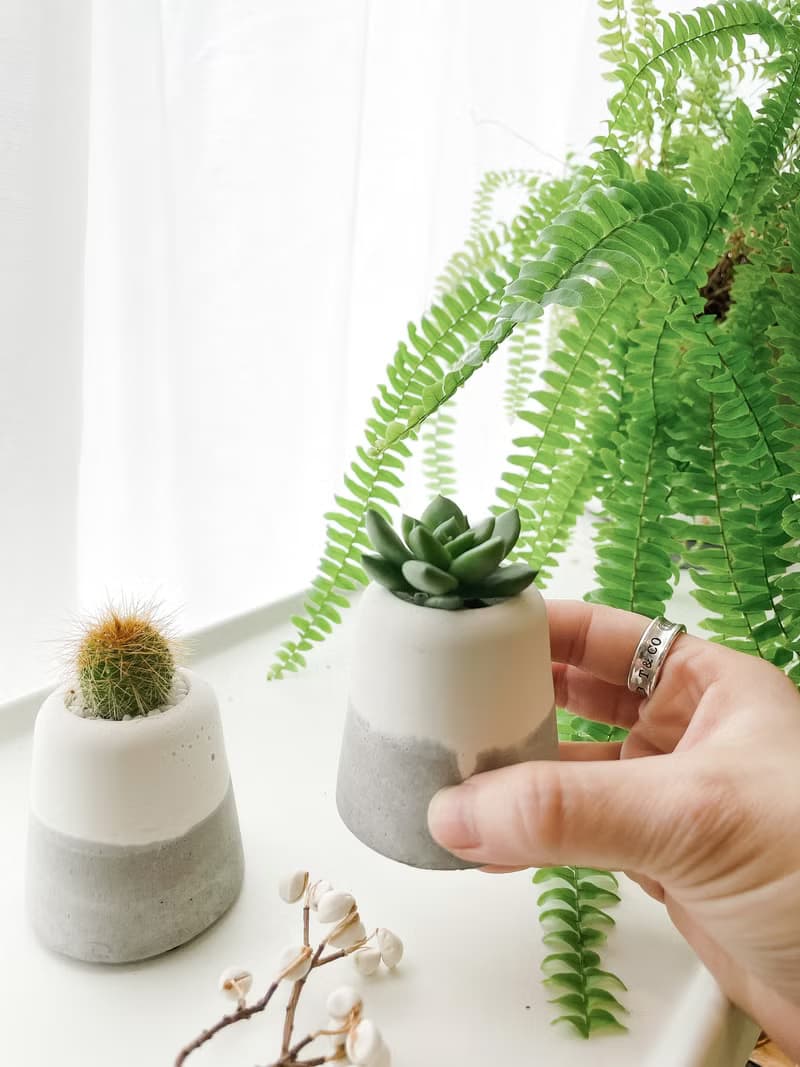 小樹系列-水泥盆栽 可植入 多肉/仙人掌