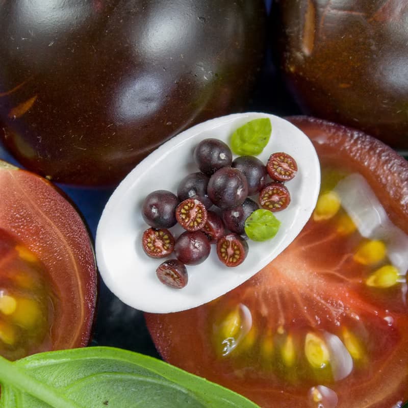 【數位】TUTORIAL Miniature chocolate cherry tomato cane with polymer clay | PDF + video