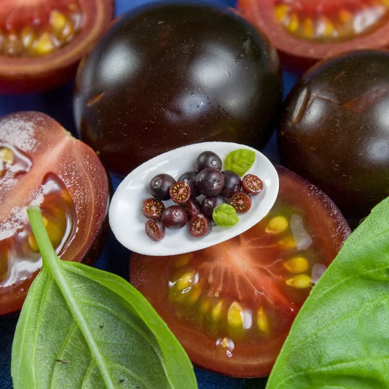 【數位】TUTORIAL Miniature chocolate cherry tomato cane with polymer clay | PDF + video