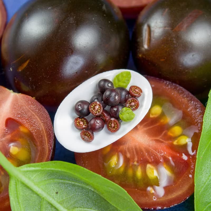 【數位】TUTORIAL Miniature chocolate cherry tomato cane with polymer clay | PDF + video