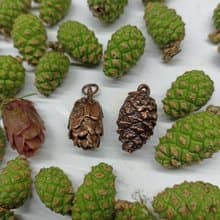 Pinecone pendant Forest gift  Electroforming nature jewelry Copper pendant 生日禮物