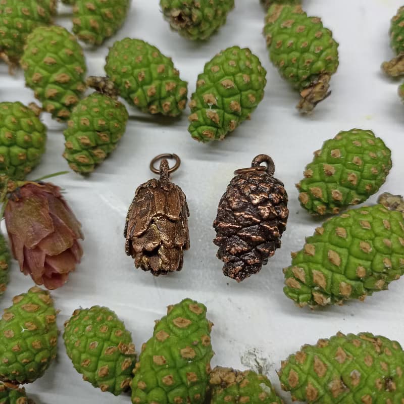 Pinecone pendant Forest gift  Electroforming nature jewelry Copper pendant 生日禮物