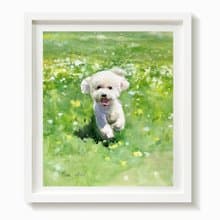 水彩動物-狗狗紀念-寵物店裝飾-比熊犬禮物-送禮-海報-毛孩
