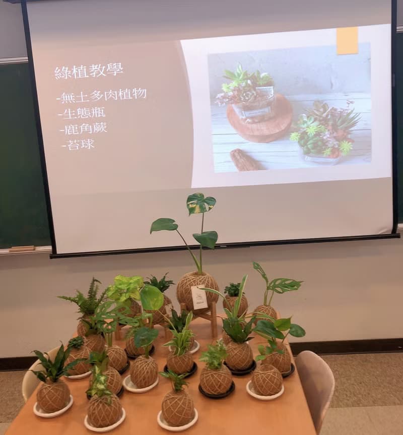 【體驗】| 桃園青埔 | 企業教學 綠植植栽手作課程 綠沐-手作植栽- 苔球