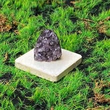 能量擺飾-天然可愛夢幻紫晶鎮 紫水晶 財運水晶 增智慧 快速出貨