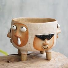 Funny Succulent planter set with faces.
