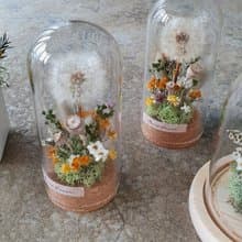 蒲公英的祝福 畢業花禮 生日花禮
