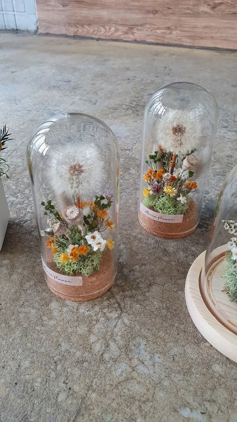 蒲公英的祝福 畢業花禮 生日花禮