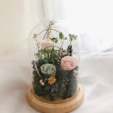 小夜燈 小圓球 生日禮物 情人節 母親節禮物 乾燥花 永生花玻璃罩
