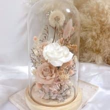 永生蒲公英玫瑰花園玻璃盅夜燈ㅤ