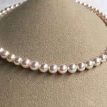 送料無料【Ltd.price】Akoya pearl necklace  sea pearl