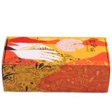 【野樂茶】太極茶包-日月潭紅玉紅茶禮盒(8入)  總統府伴手禮