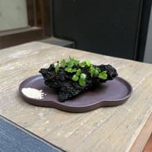 日本獅子葉伏石蕨∣火山石 附石珍稀山野草 微光植物