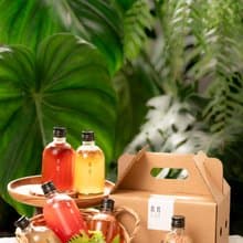 茗茗茶香檳 永續精品康普茶 特色綜合組6瓶入