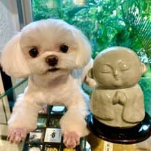 麗香爐  地藏【日本松榮堂 香爐系列】