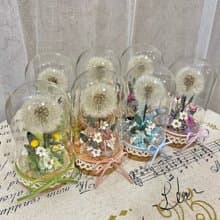 | 小夢境花藝 | 永生花蒲公英 玻璃器皿 玻璃罩永生花 / 交換禮