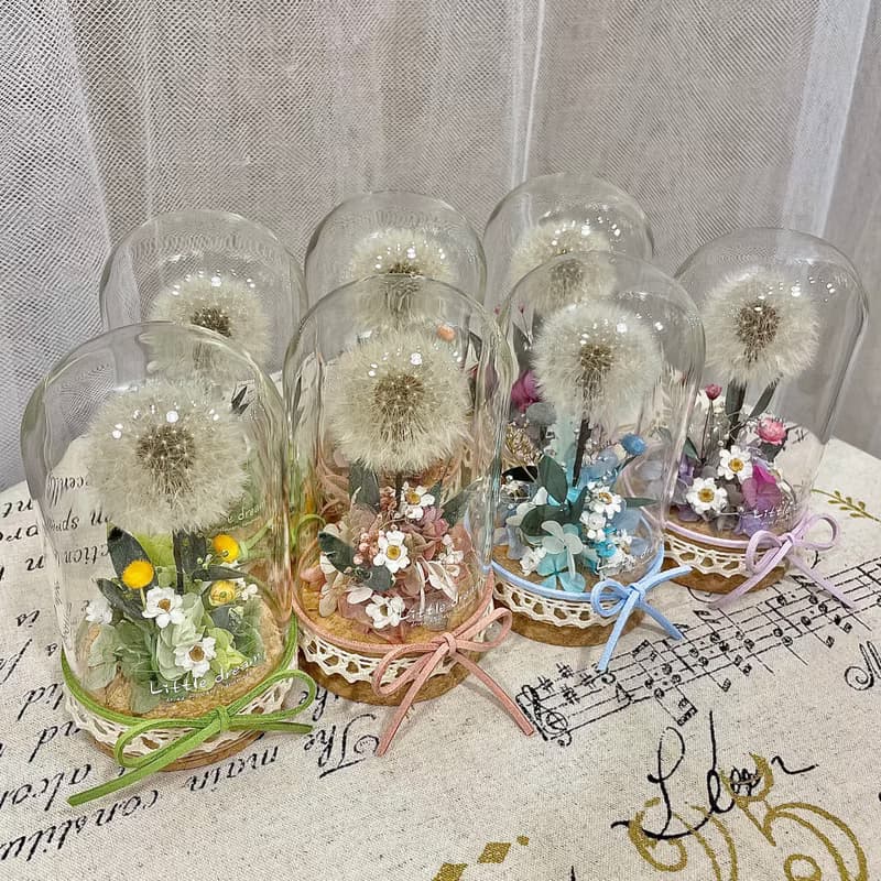 | 小夢境花藝 | 永生花蒲公英 玻璃器皿 玻璃罩永生花 / 交換禮