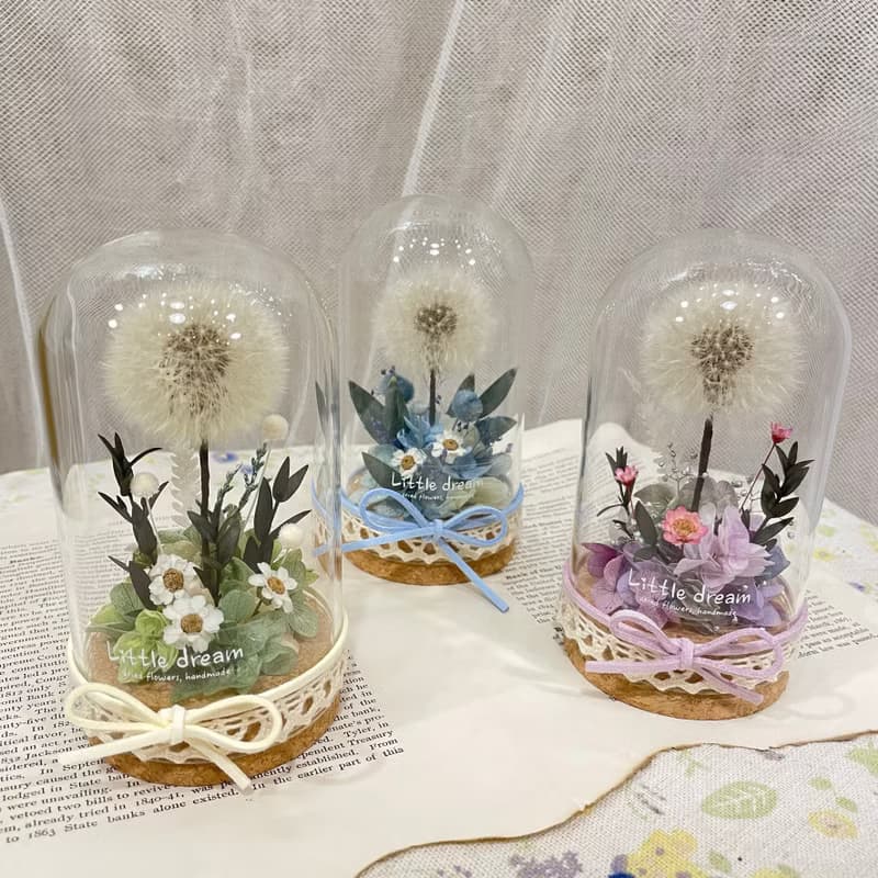 | 小夢境花藝 | 永生花蒲公英 玻璃器皿 玻璃罩永生花 / 交換禮