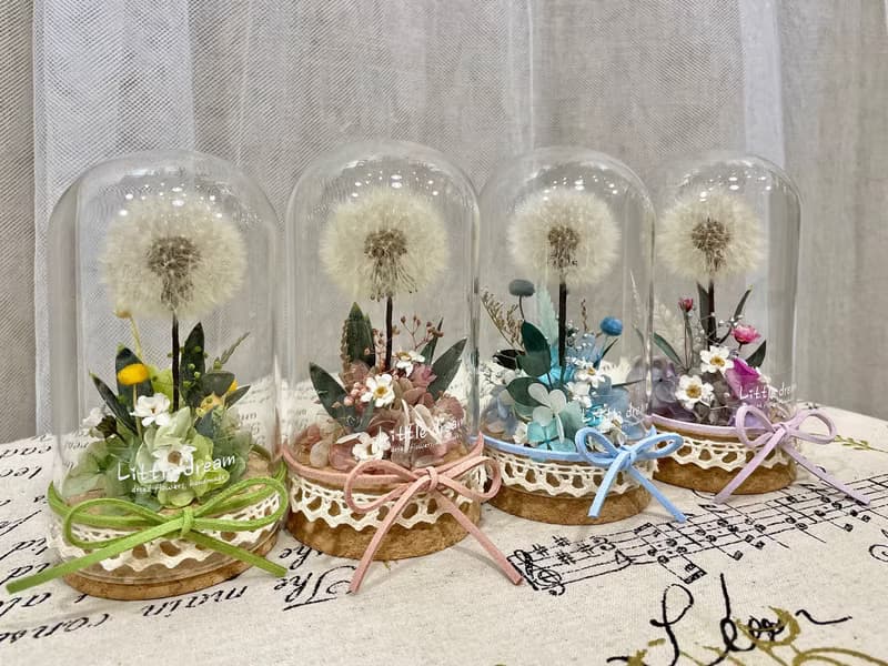 | 小夢境花藝 | 永生花蒲公英 玻璃器皿 玻璃罩永生花 / 交換禮