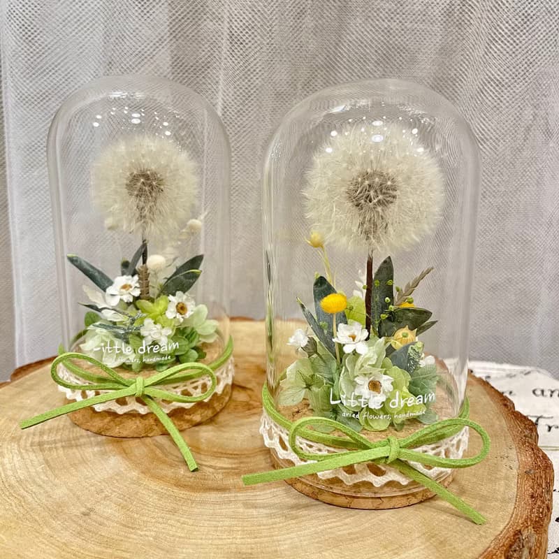 | 小夢境花藝 | 永生花蒲公英 玻璃器皿 玻璃罩永生花 / 交換禮