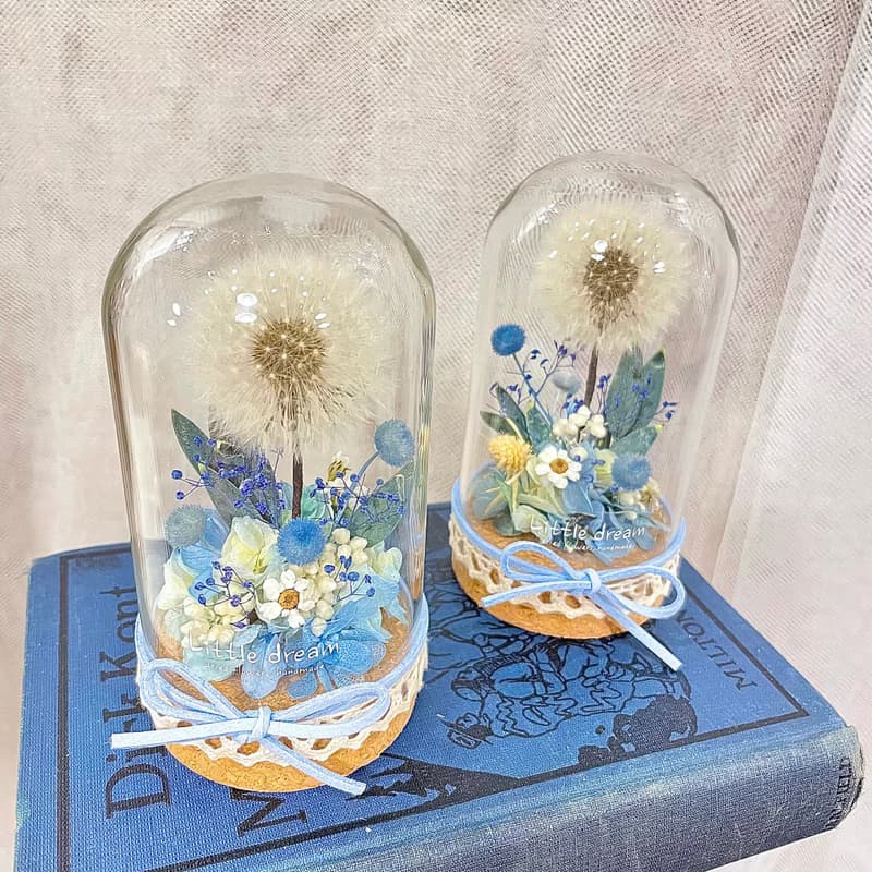 | 小夢境花藝 | 永生花蒲公英 玻璃器皿 玻璃罩永生花 / 交換禮