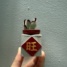 旺  紅通通!!新年磁鐵盆栽 送多肉植物