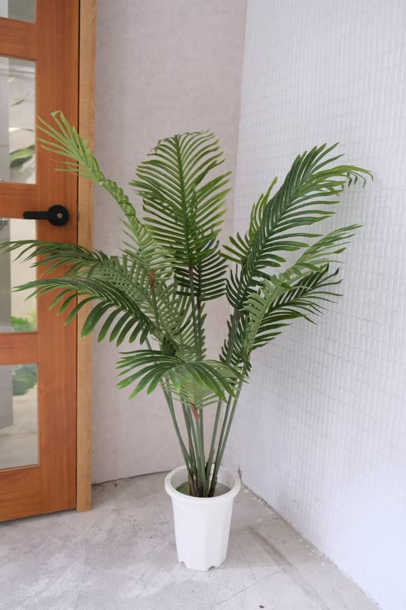 人造植栽/仿真椰子樹/仿真植物/綠化/永不凋零