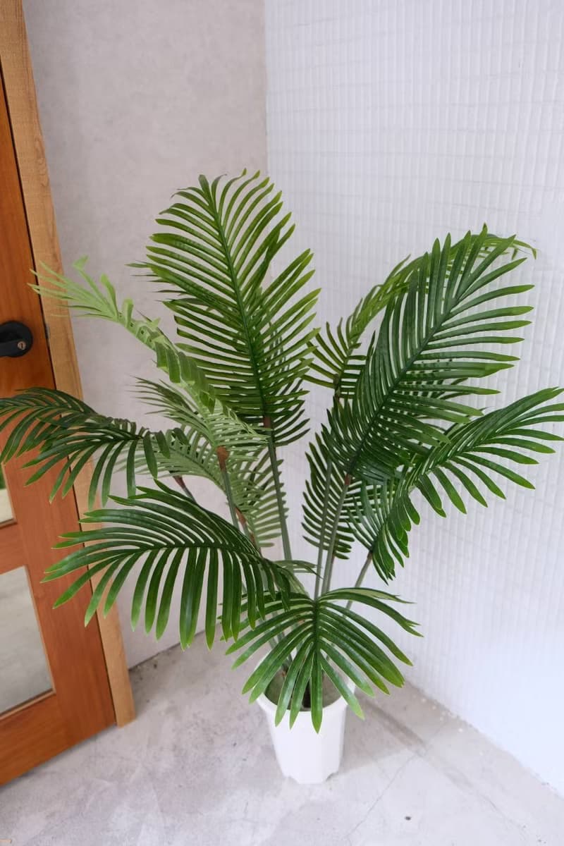人造植栽/仿真椰子樹/仿真植物/綠化/永不凋零