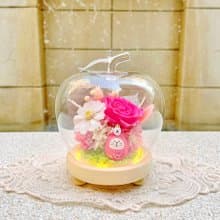 貓咪/達摩/公仔/招財/永生花/乾燥花/蘋果/夜燈/玻璃盅/玻璃罩