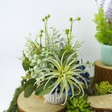 空氣鳳梨香氛花藝/擬真植栽/香氛植栽/禮物/佈置/佈置