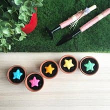 【送禮自用套組】Star Grows 香草星星種子球植栽套組