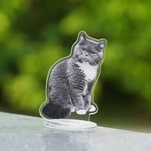 買二贈一 來圖定製 寵物立牌 壓克力立牌 飯友