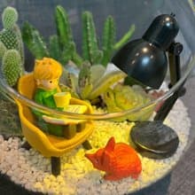 小王子 狐狸 閱讀玻璃球 燈具 多肉組盆仙人掌Le PetitPrince送禮