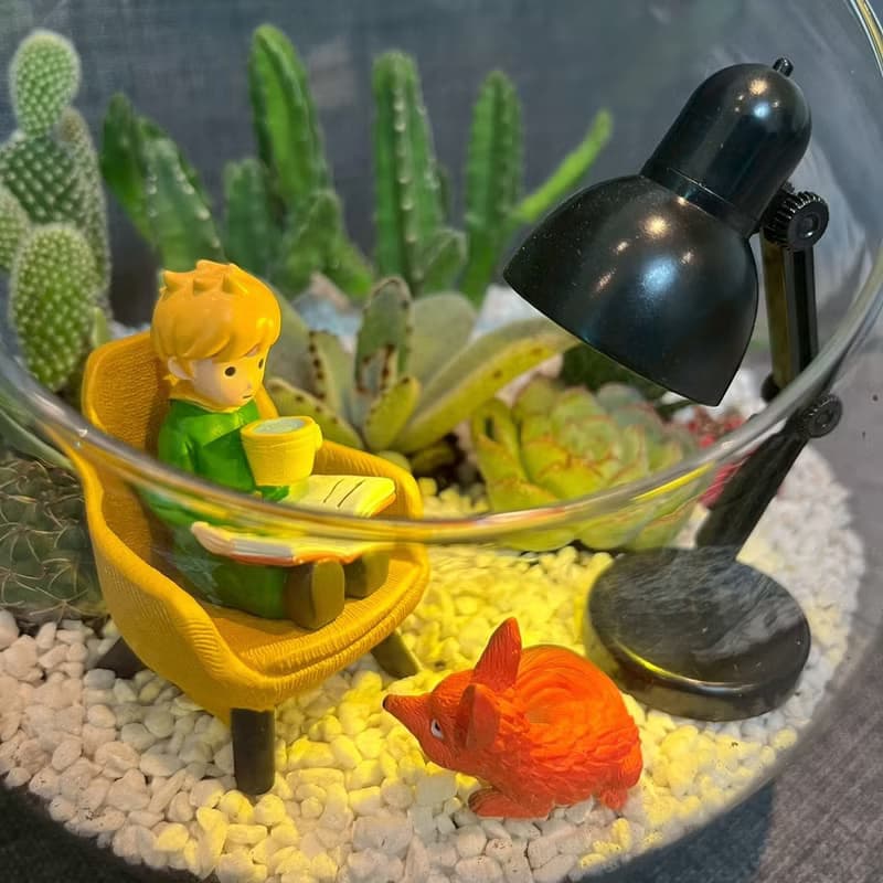 小王子 狐狸 閱讀玻璃球 燈具 多肉組盆仙人掌Le PetitPrince送禮