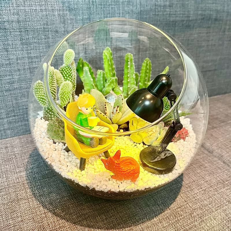 小王子 狐狸 閱讀玻璃球 燈具 多肉組盆仙人掌Le PetitPrince送禮