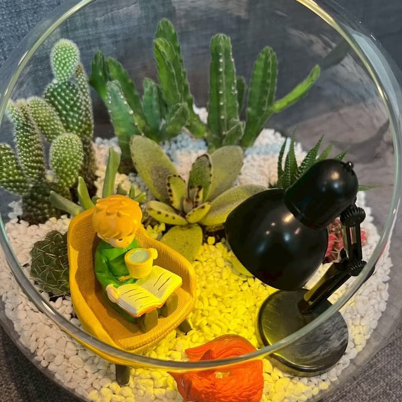 小王子 狐狸 閱讀玻璃球 燈具 多肉組盆仙人掌Le PetitPrince送禮