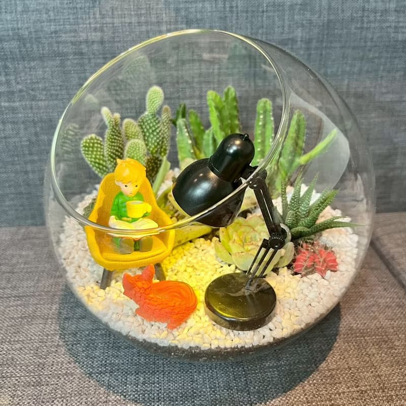 小王子 狐狸 閱讀玻璃球 燈具 多肉組盆仙人掌Le PetitPrince送禮