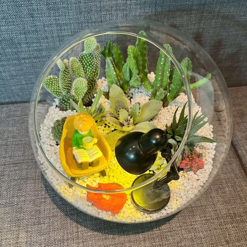 小王子 狐狸 閱讀玻璃球 燈具 多肉組盆仙人掌Le PetitPrince送禮