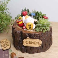 招財貓 多肉植物盆栽(附字牌) 手作公仔 | 開幕禮物 開運招財