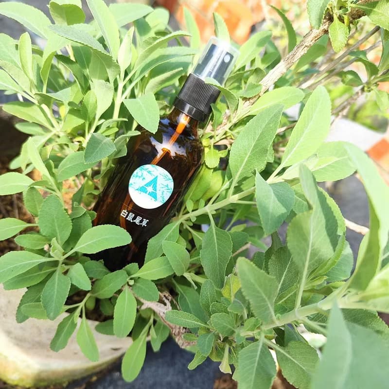 香草芳療組盒-純露藥草手工皂+能量療癒噴霧-無毒香草-靜心手作